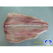 frozen fish herring fillet